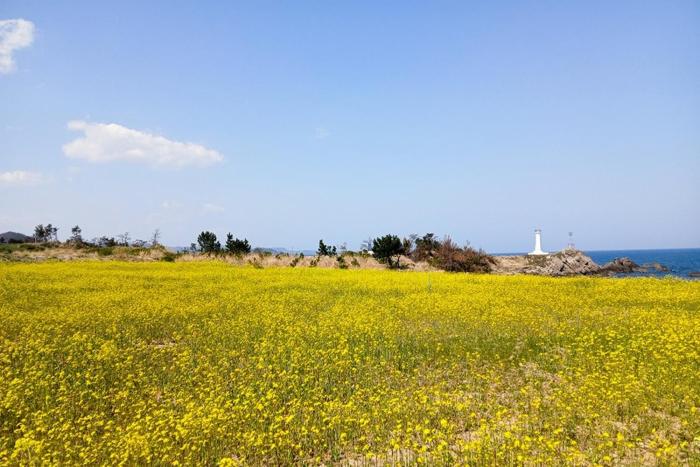 Sinpo Port TITF Caravan