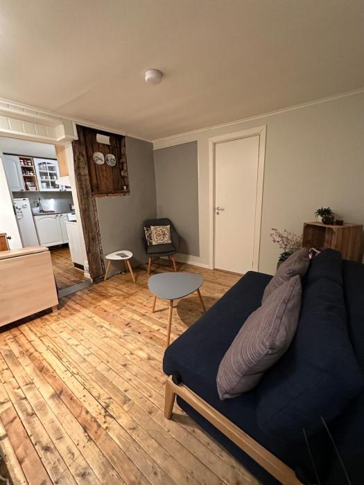 Cozy 2-bedroom apartment in the city centre