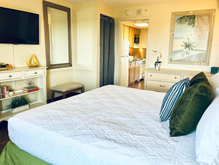 WINTER RATES! Stunning Oceanfront Suite w Jetted tub! B 733