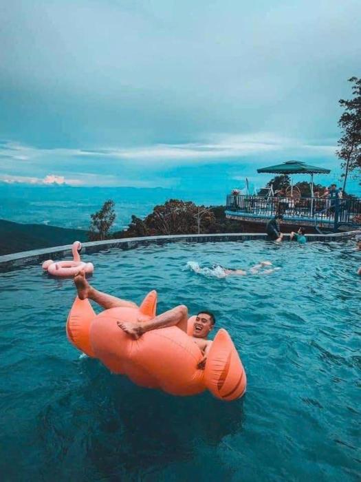 Mimosa 228-phòng săn mây