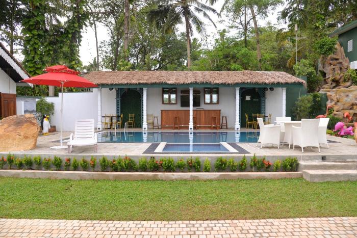 The Jungle Dream World