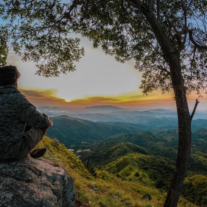 The1964 green paradise hostel