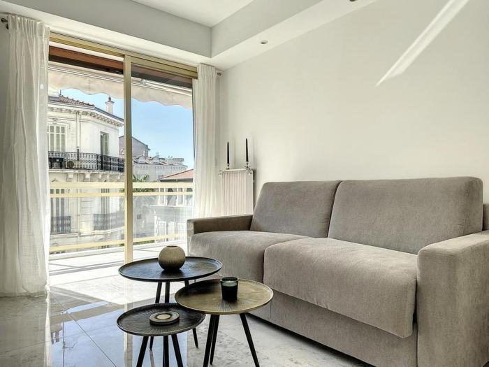 Cannes Centre Mimosas 1 chambre Salon