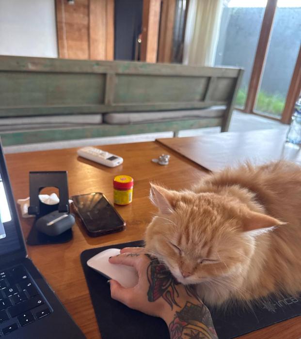 Spacious Family Home & Office Canggu, stay with cats