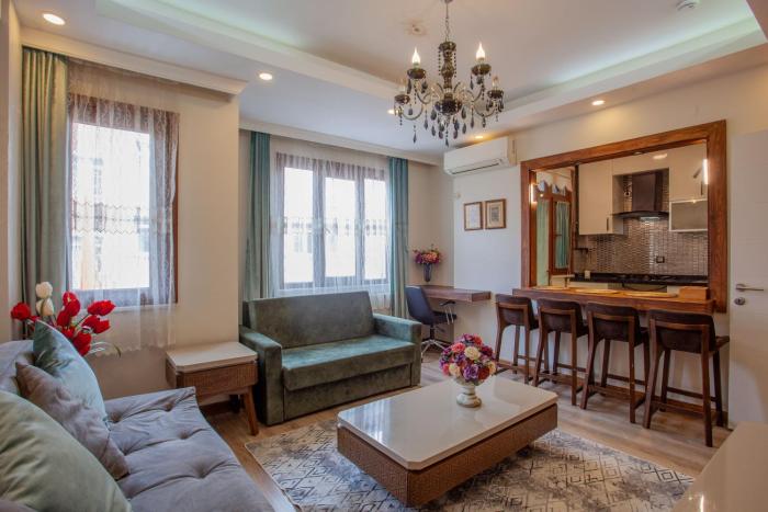 Super house 75 mt 2 bedrooms 1 living room Istanbul center