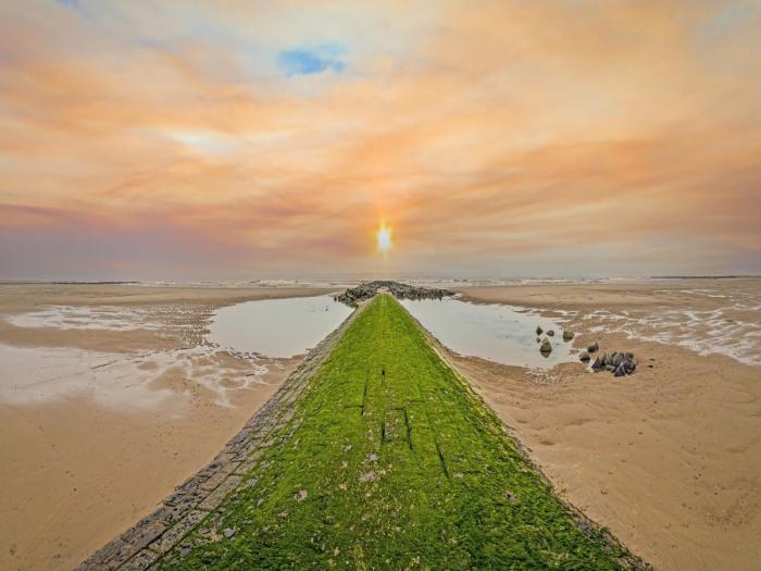 Studio in Belgium with Sea View & Balcony