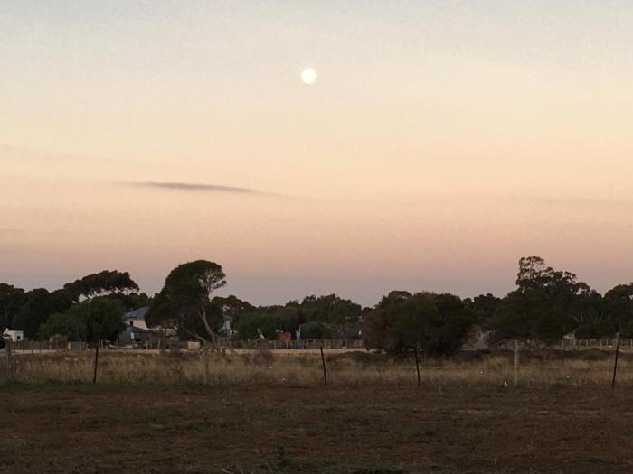 3 Campsites ONLY for Self contained Motor Homes RVs ONLY! BYO Toilet and bed! DIDO Spirit of Tasmania Stopover