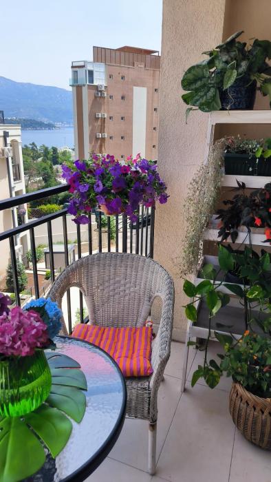 Centre Budva Green