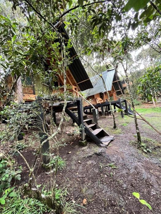 Cielito Verde Glamping