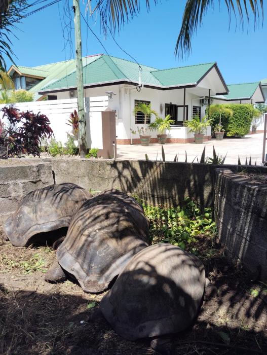 Roche Kerlan Apartments