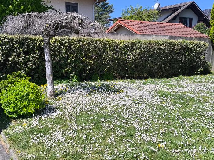 Appartement 3 chambres au bord du Lac - Thonon-les-Bains