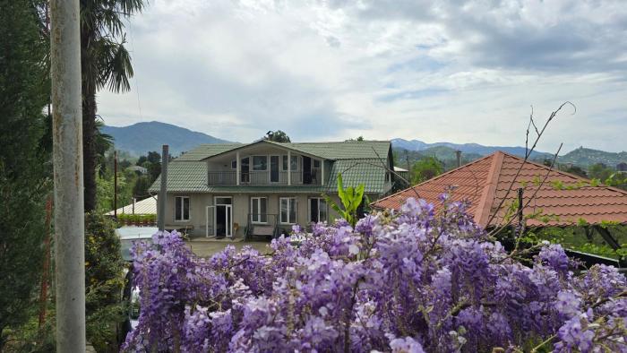 Olgas Home