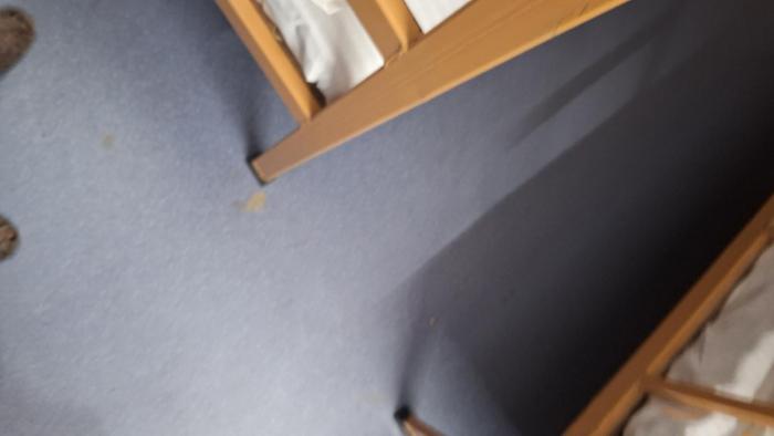 singh homestay