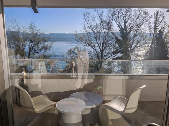 Lake view and access designer apartment
