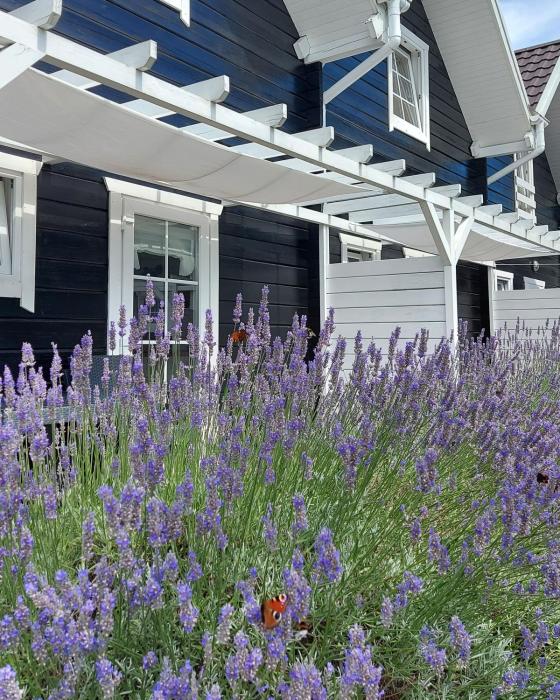 Bla Marine Domki nad Morzem