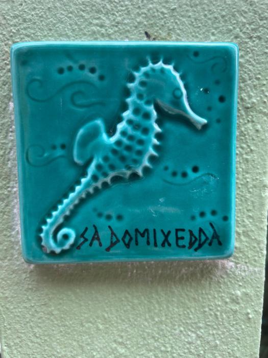 Sa Domixedda di Caterina