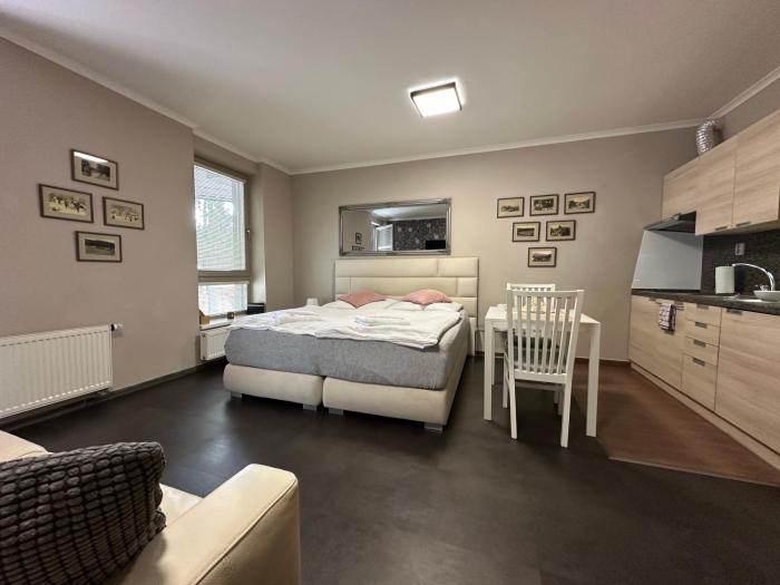 Harrachov Resident Apartments "Terrace & Chill" - high speed WiFi, možnost snídaně, Smart TV, Netflix, Disney plus