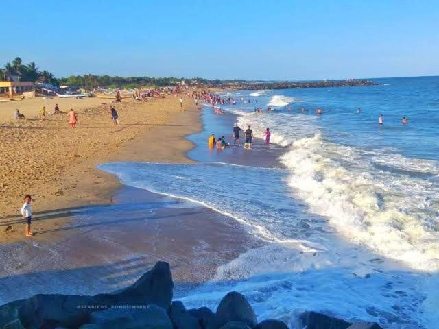 Sea Birds Beach Resort