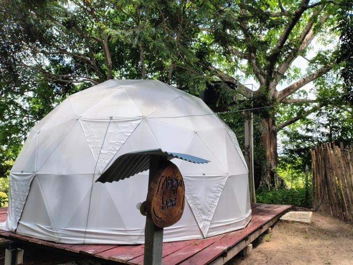 Glamping Aveja