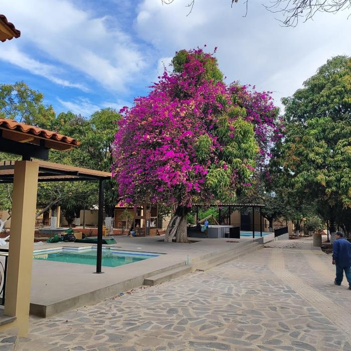 Hotel Cabañas de los Angeles