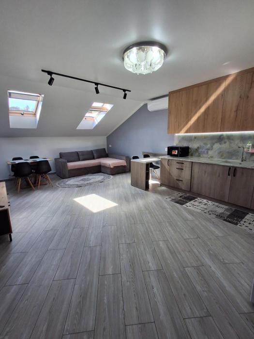 Простора сімейна оселя у серці міста Львів бічна ПЛОЩА РИНОК кухня-студія та спальня 2 кондиціонери