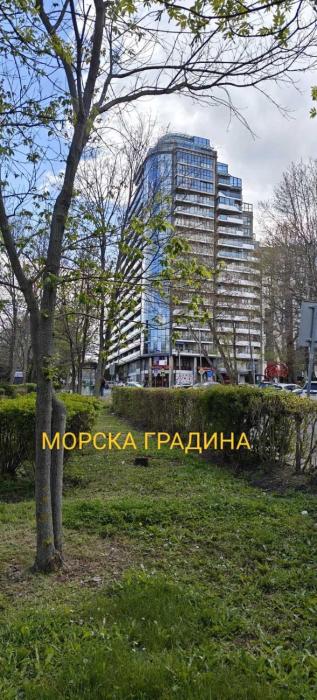 Luxury Sea Sunset Deluxe Apartment