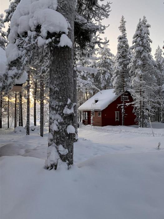 Cozy and comfortable cottage, Levi Lapland