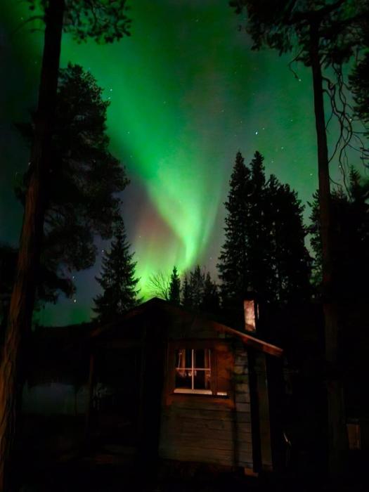 Blue Moment at the Arctic Circle- Forest, beach, activities