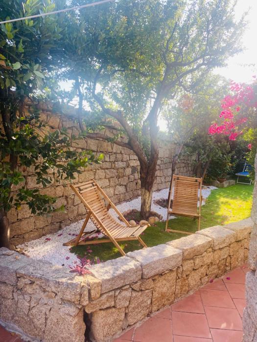 Beautiful Baya Vignola