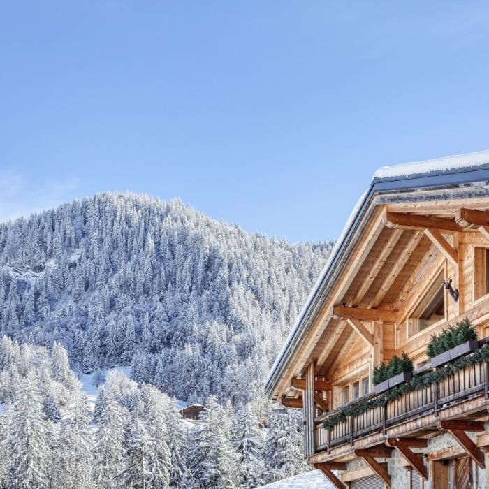 JAMES TAMG24 - Stunning ski in ski out luxury chalet with indoor pool & cinema