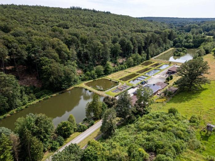 Ferienhaus am See -Teichanlage Kern