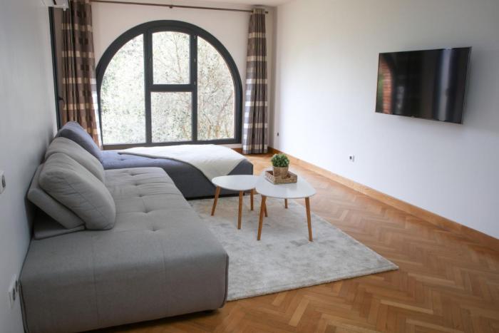 Spacious apartment of 90 m2 in Toulouse