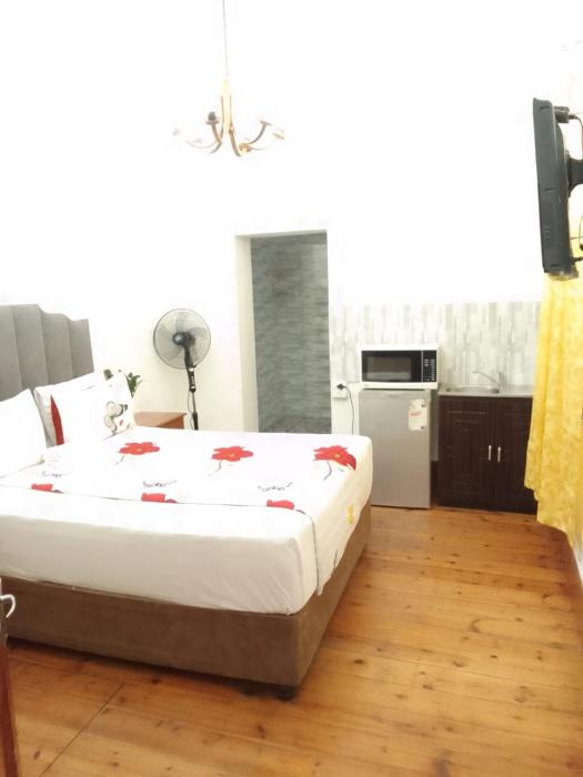 Neo & Ruks Guest Houses Boston Belleville 3