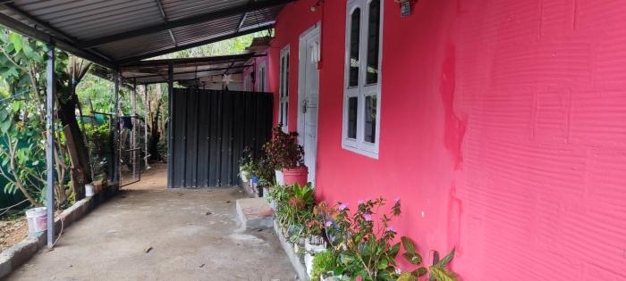 Royal villa Homestay