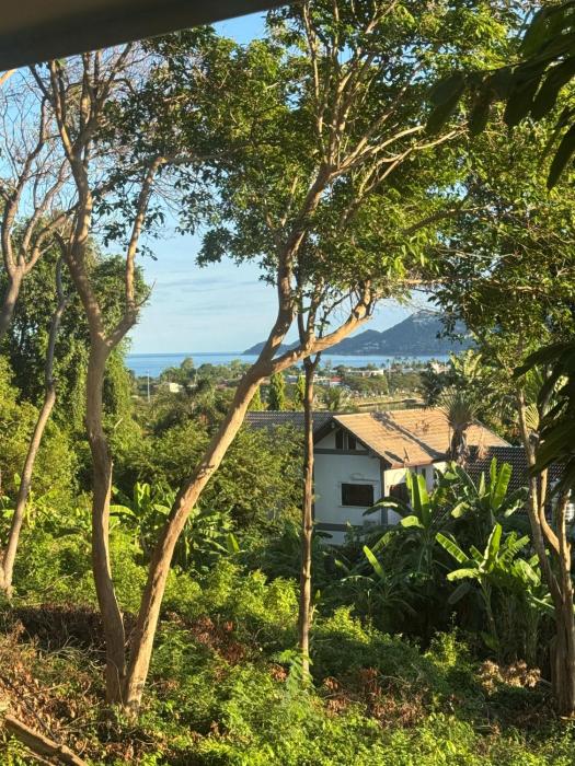 Heart of Chaweng - Royal Ocean View