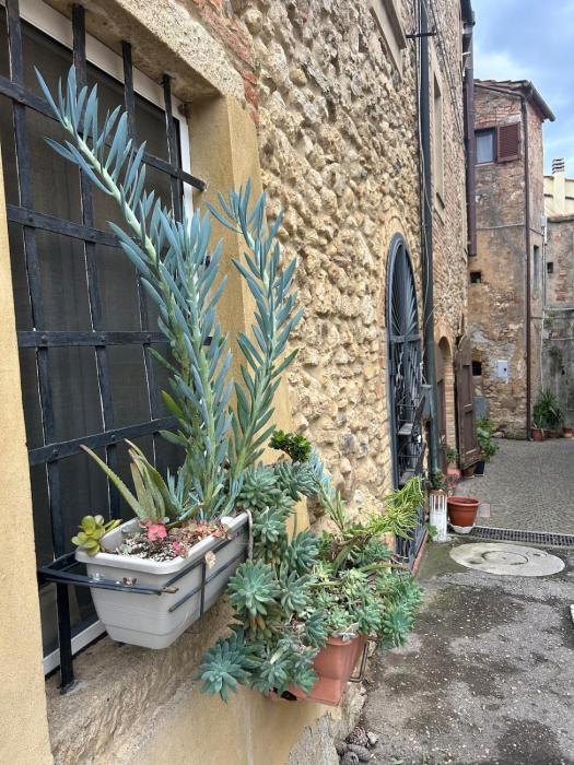 Casa Nelly - accommodation in the heart of Bibbona!