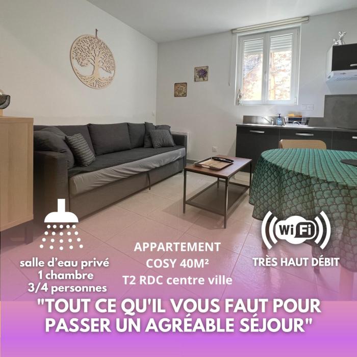 Appartement T2 40 M2 cosy RDC plein centre ville