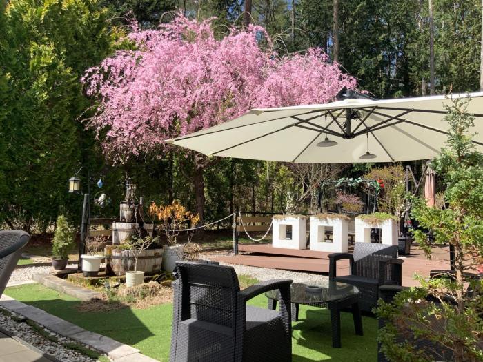 Kakureyado Fujikawaguchiko