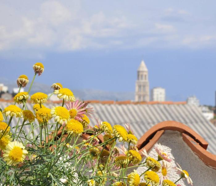 Room with the city and sea view