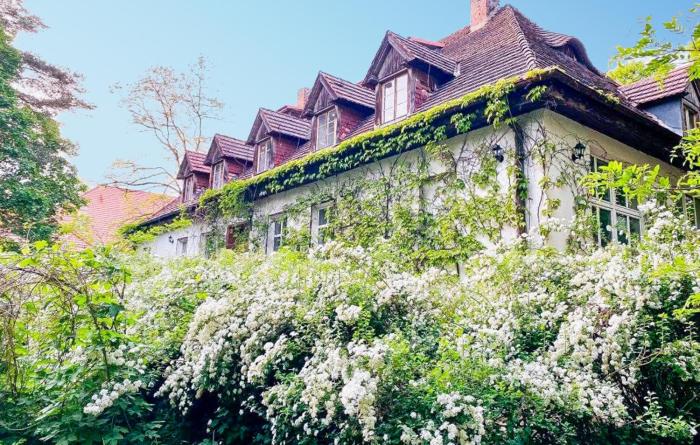 1 Bedroom Nice Apartment In Lubniewice