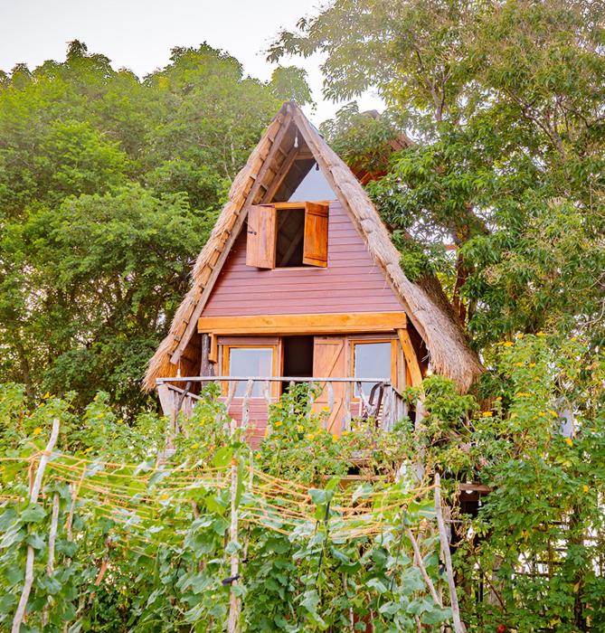 Wisdom Camping and Glamping