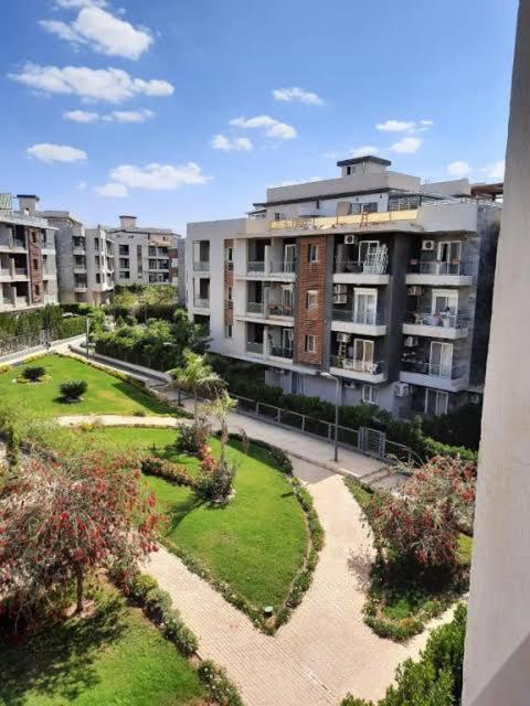 زايد ديونز الشيخ زايد