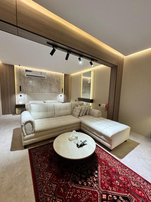 استديو انيق بجلسة ومدخل ذكي