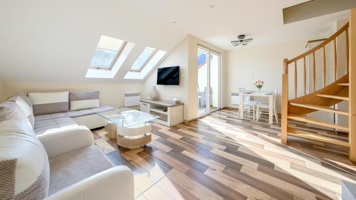 Blue Mare, Sun & Snow