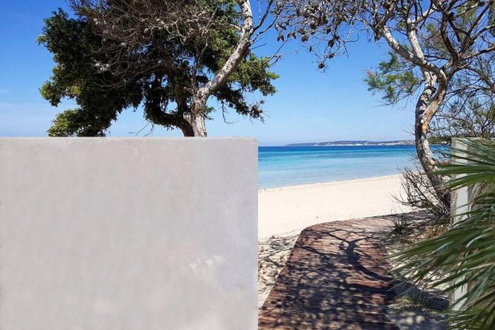 Alchimia Suite by Amarena Collection