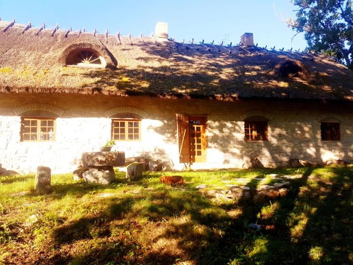 Paali cottage rent