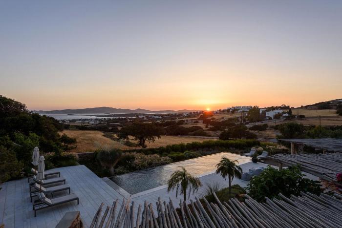 House of Old Olive Tree