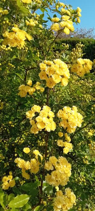 Appartamento Panoramico