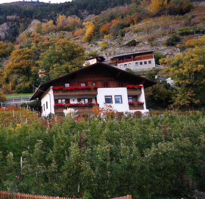 Garni Schuster