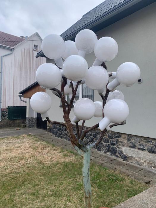 U Skleněného stromu